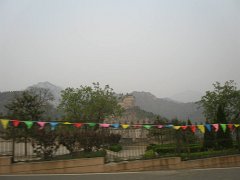 P4291352
