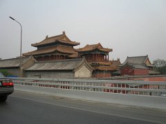 P4291353