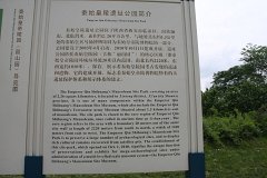 IMG 8284