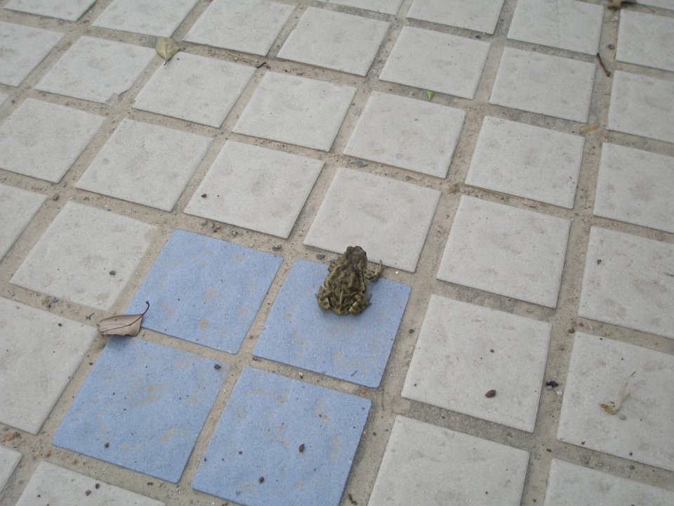 P4150318
