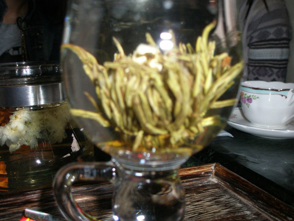 P4210562