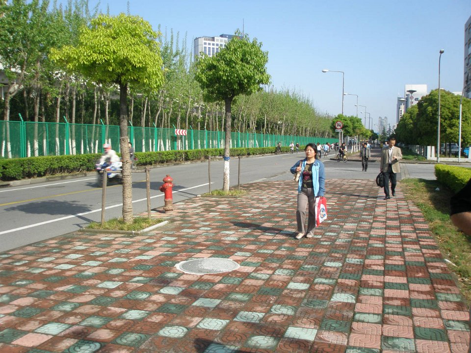 P4230724