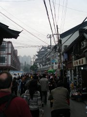 P4210513