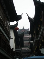 P4210543