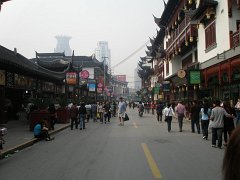 P4210551