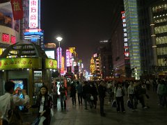 P4210593