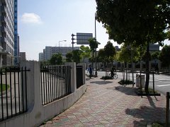 P4230727