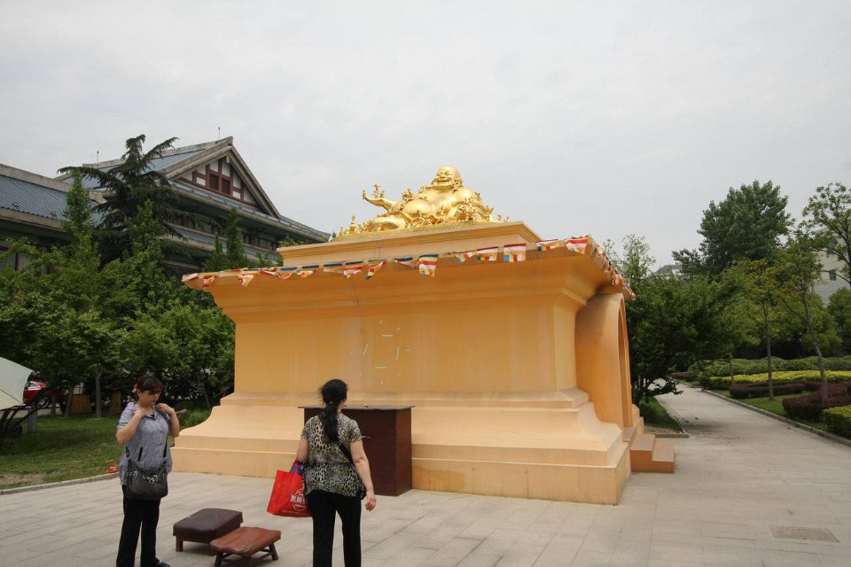 IMG 7233