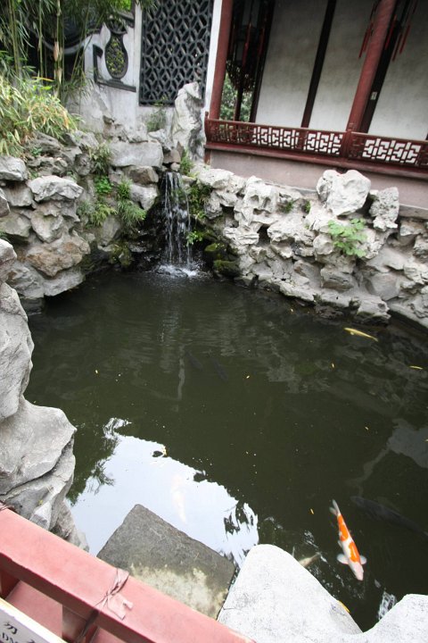IMG 7423