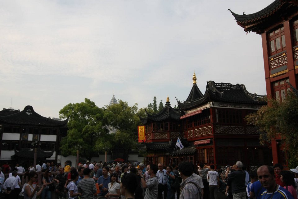 IMG 7479