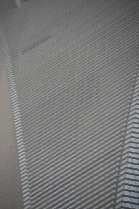 IMG 7585