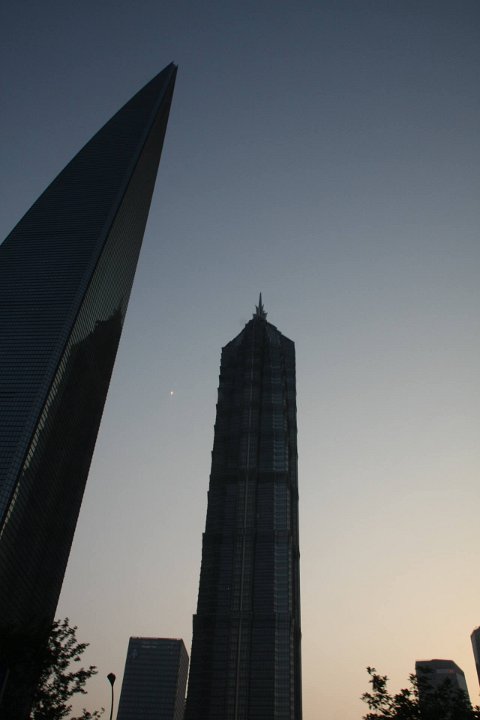 IMG 7592