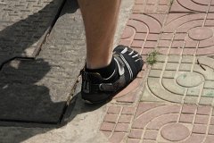 IMG 7213