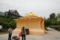 IMG 7233