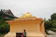 IMG 7234