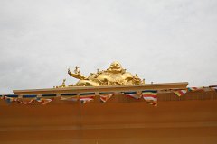 IMG 7235