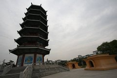 IMG 7239