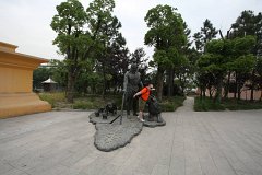 IMG 7241