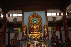 IMG 7249