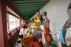 IMG 7260