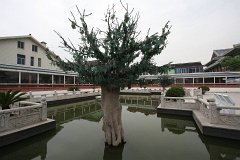 IMG 7270