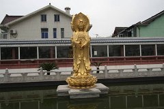 IMG 7271