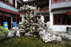 IMG 7292