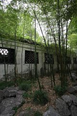IMG 7392