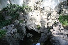 IMG 7438