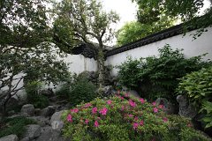 IMG 7439