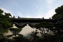 IMG 7444