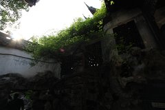 IMG 7450