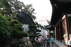 IMG 7454