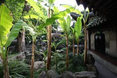 IMG 7462