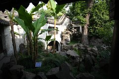 IMG 7463