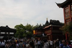 IMG 7479