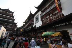 IMG 7483