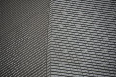 IMG 7581