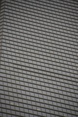 IMG 7582