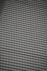 IMG 7586