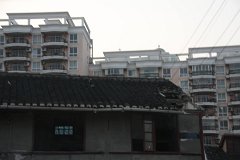 IMG 7598