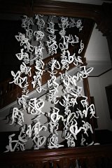 IMG 7755