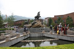 IMG 8006