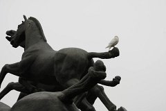 IMG 8012