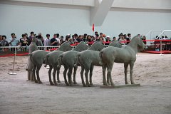 IMG 8116