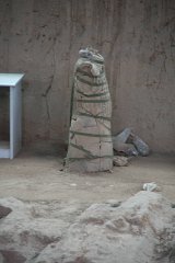 IMG 8153