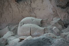 IMG 8162