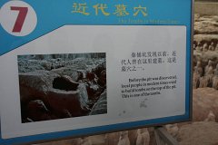 IMG 8180