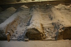 IMG 8251