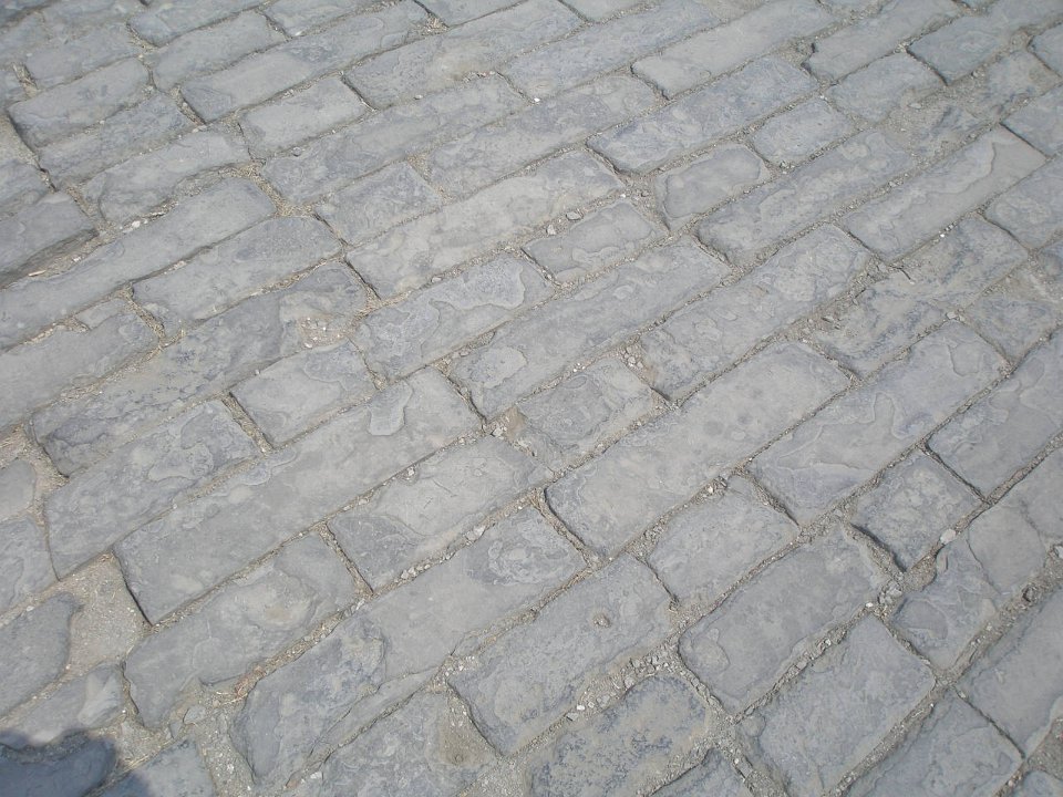 P4281011